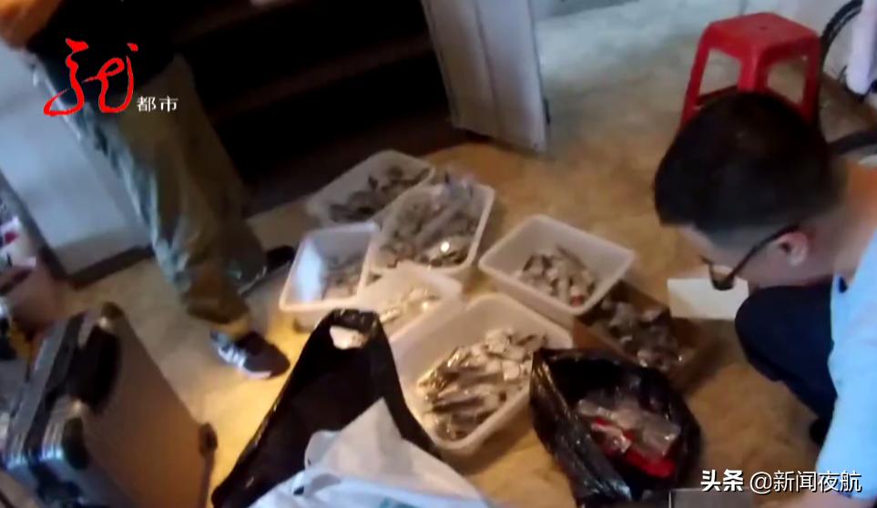 哈尔滨海关破走私大案,哈市海关破获特大案