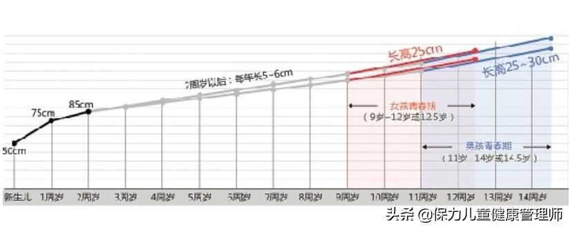 性早熟为何越来越多？家长不要谈性色变：注意11个关键点才能预防