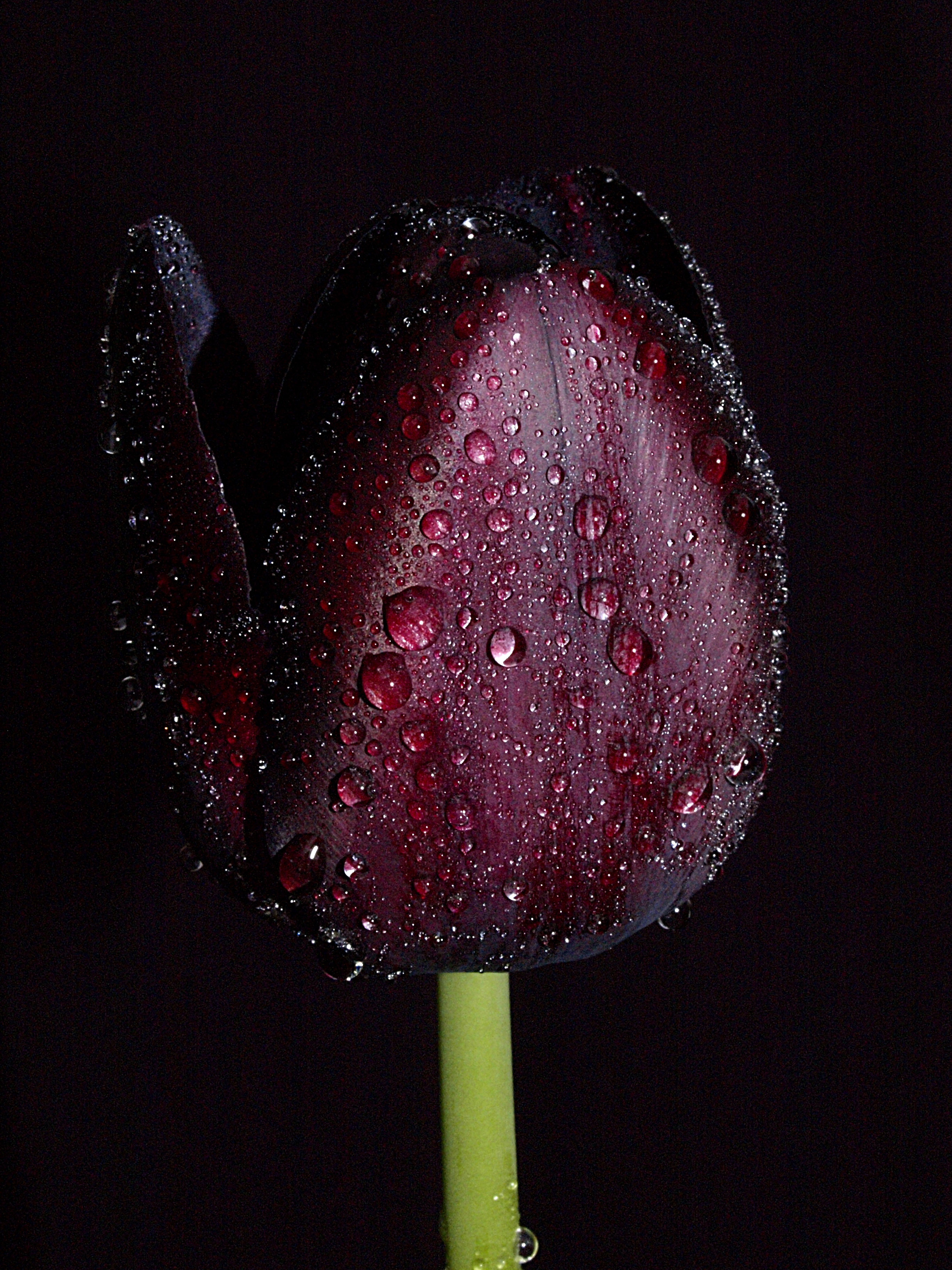 ios10.3.3越狱后如何下载应用,iphone如何用爱思助手越狱系统