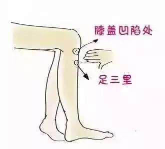 以阳补阳，源源不断升发阳气