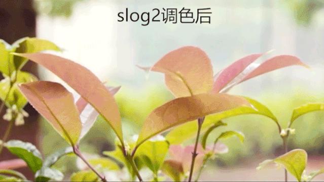 为什么我拍的视频没有那么清晰,为啥拍的视频不清晰