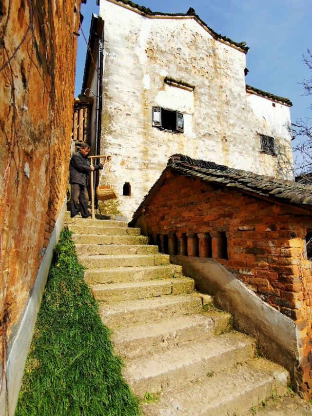 春暖花开我在油菜花田等你,篁岭晒秋我听了风的话