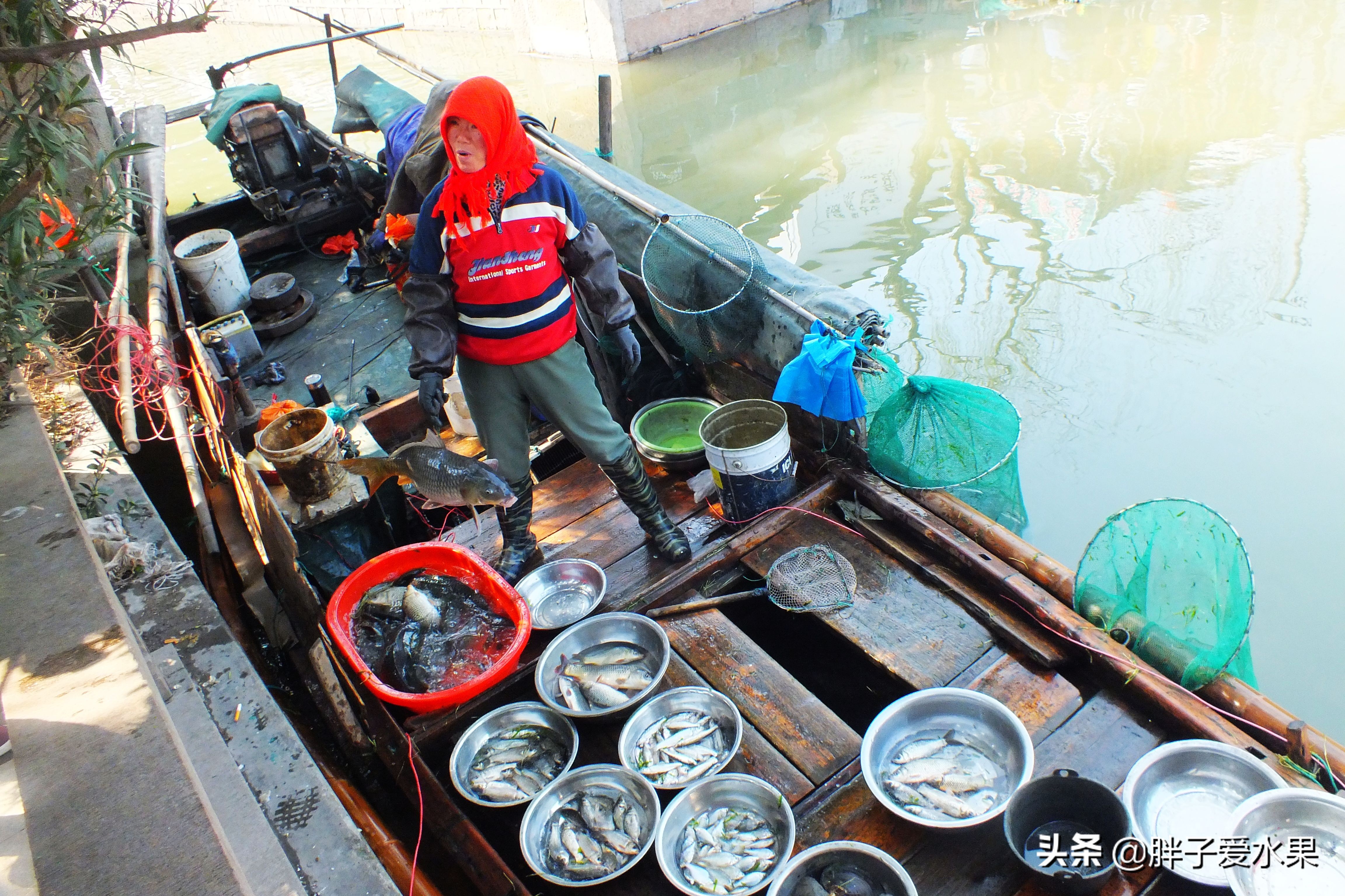 游览江南第一古镇朱家角,江南古镇朱家角一日游