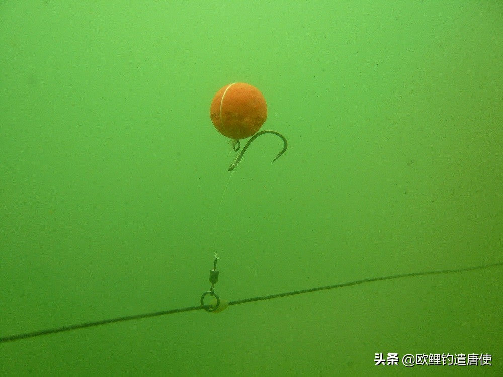 话说欧鲤钓最新消息,话说欧鲤钓鱼完整版