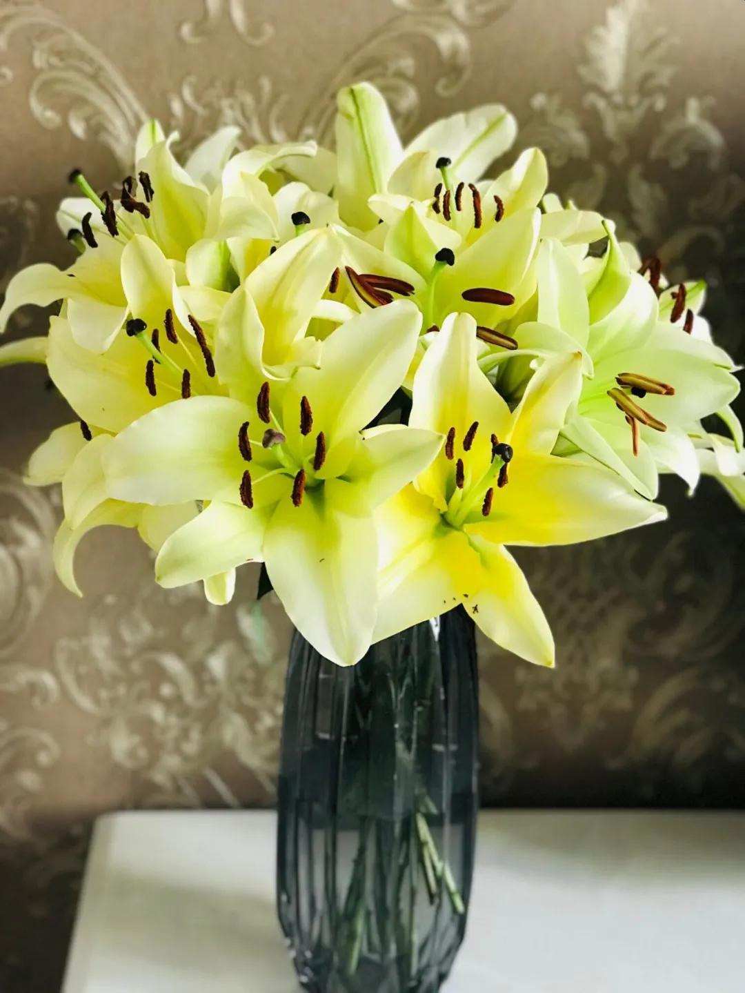 香水百合鲜切花云南鲜花基地,什么颜色的百合最好养活