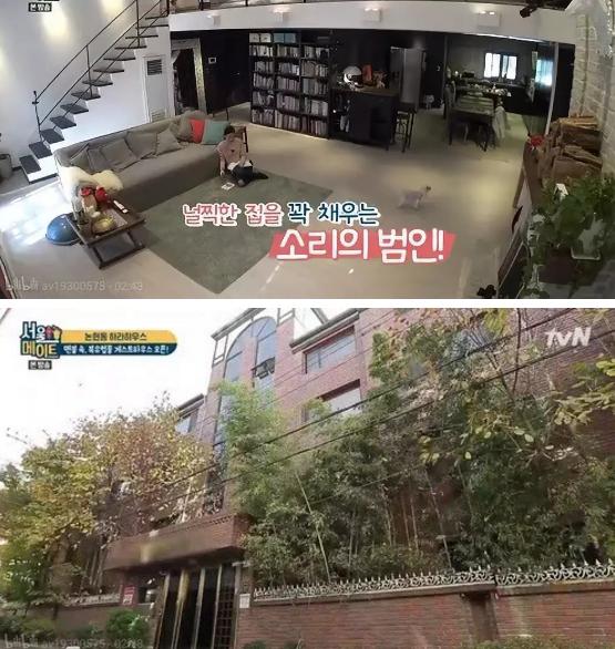 沉默后的具荷拉，沉默着的韩娱圈