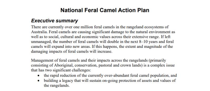 maxinatal骆驼奶粉评测,澳洲maxinatal的骆驼奶怎么样