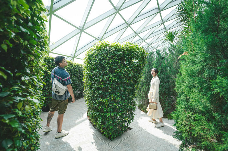 一人一猫环游,一人一猫旅行