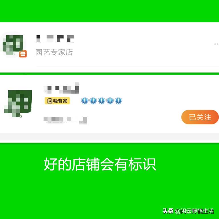 网购花卉如何防病虫害侵害,网购花卉注意什么细节