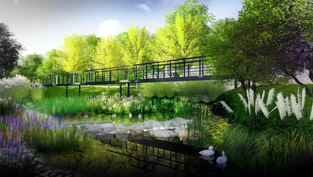 重庆科学城美景,重庆科学公园最新规划