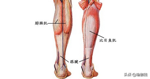 瑜伽的体式和传说,瑜伽体式的神话故事
