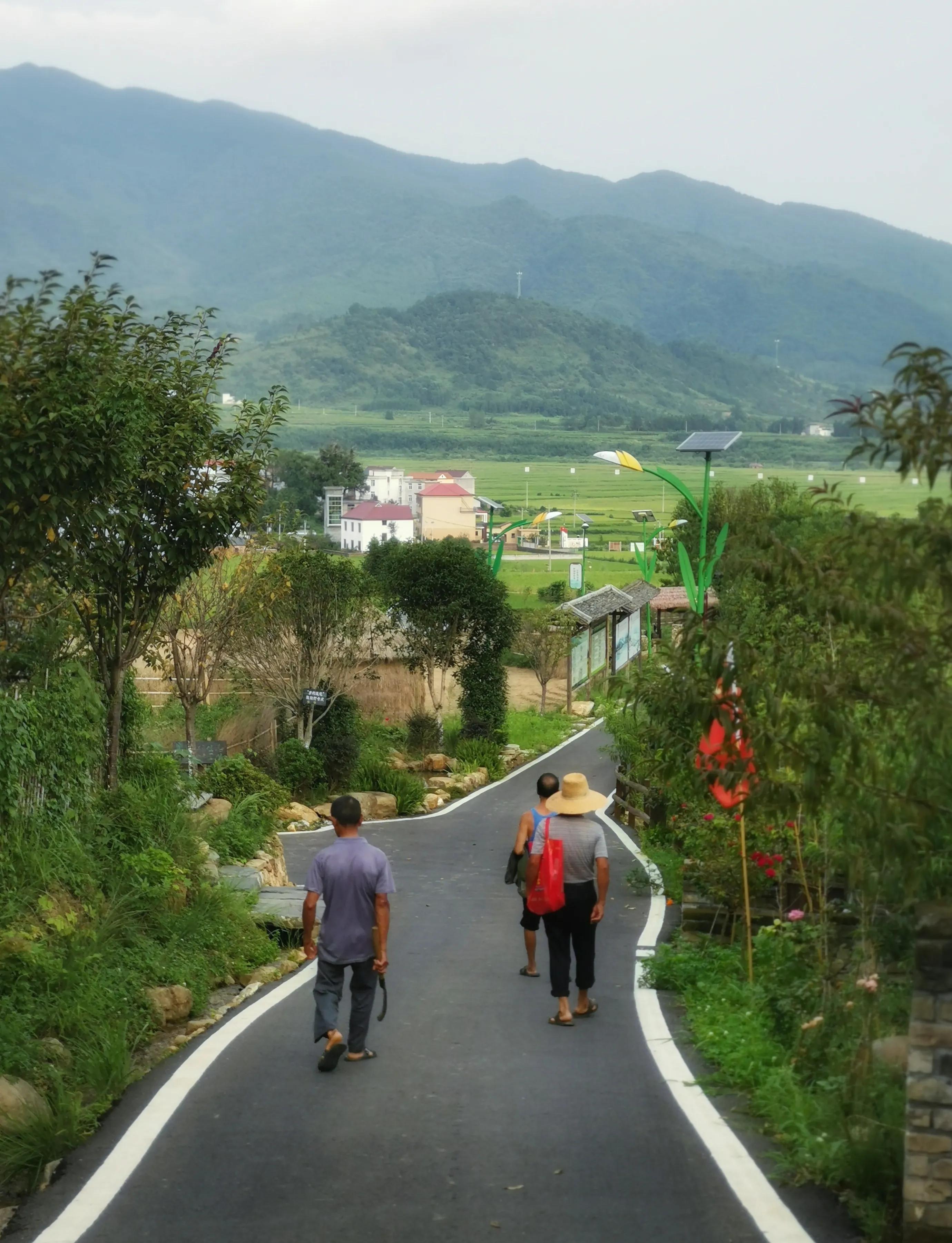 你会去莲花玩吗？我找到了3个“趣味点”，玩了一次跟着喜欢走