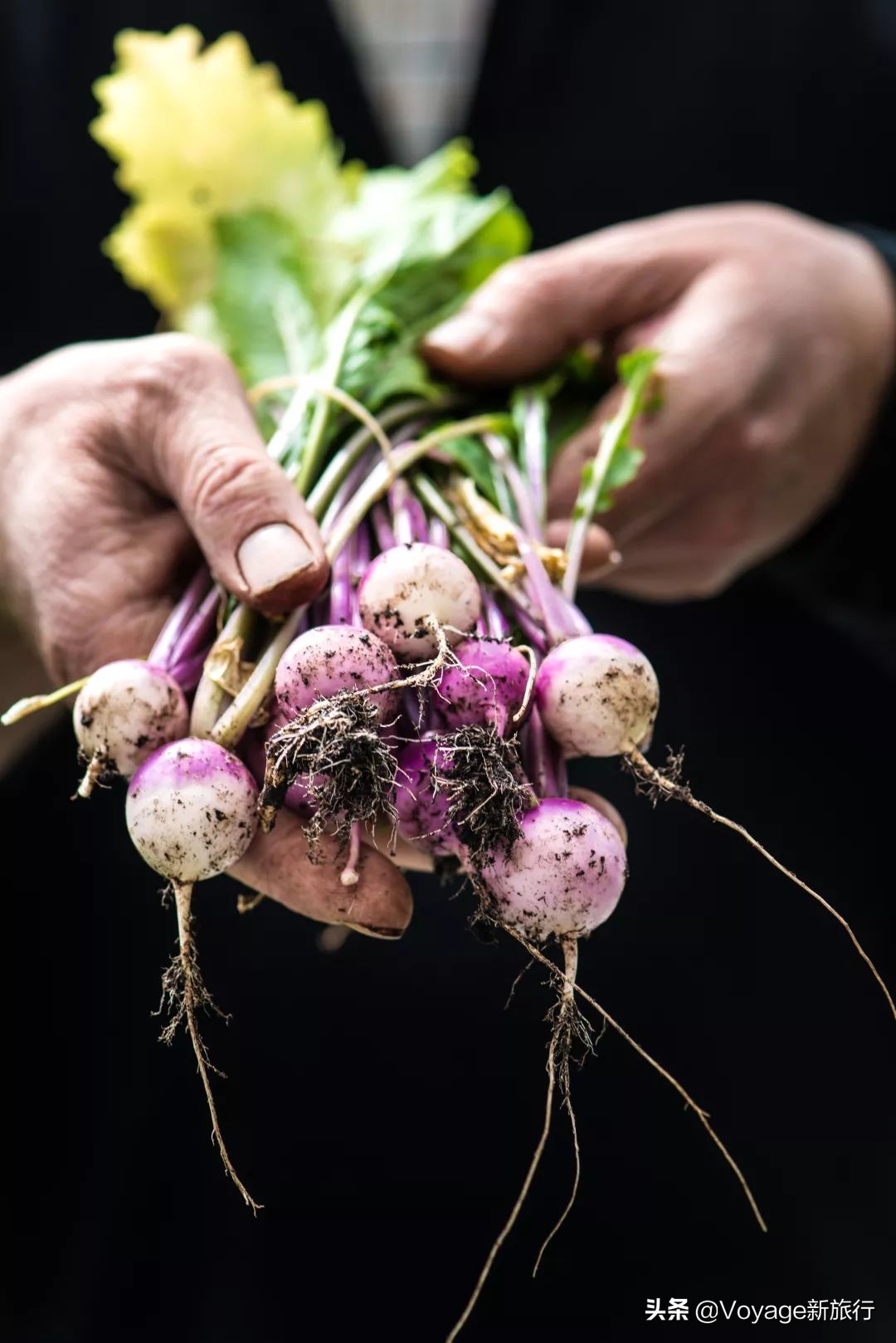 英国美食中国美食,英国美食排行榜前十名炸鱼薯条