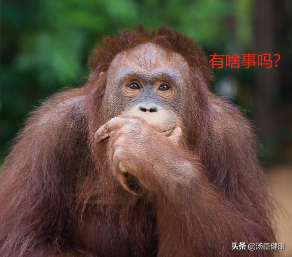 其它地方的毛发可以移植到头上吗,身上的毛可以移植到头发上吗