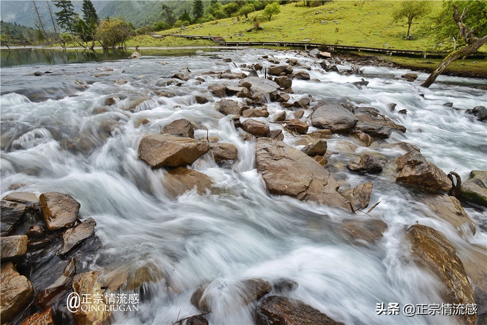 夜色成都串串爽,魅力小金苹果香#国庆中秋趣哪玩#