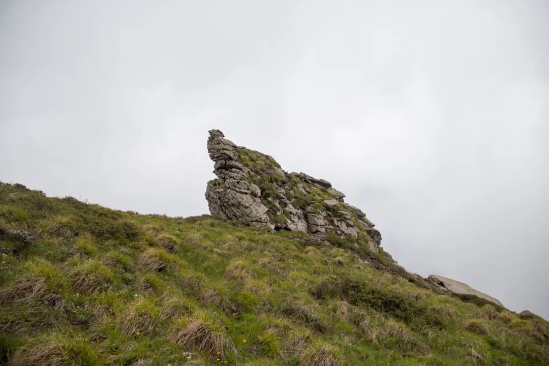 秦岭光头山至鹿角梁穿越路线,秦岭西观音山徒步登山路线攻略