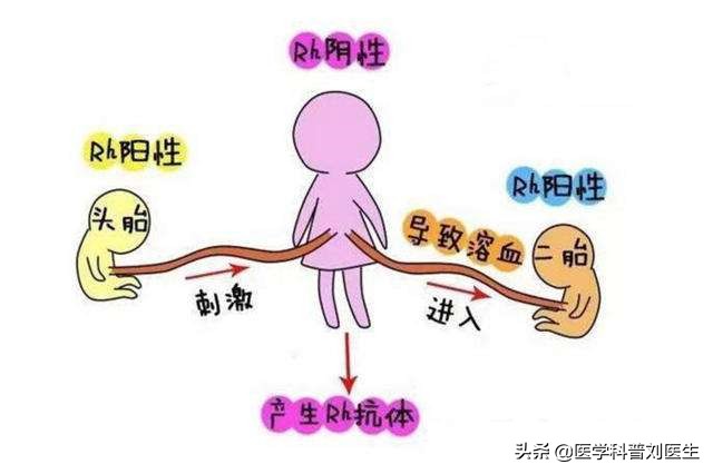 滴血认亲血真的能验出来吗,滴血认亲和滴骨认亲靠谱吗