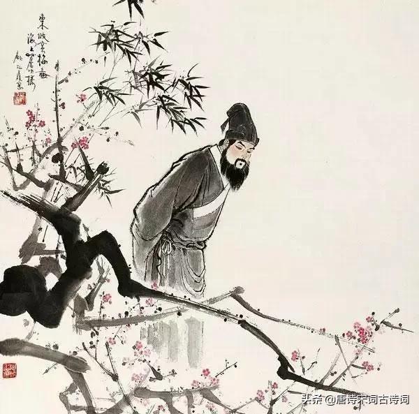 五个维度解读东坡,五个维度提升思考深度