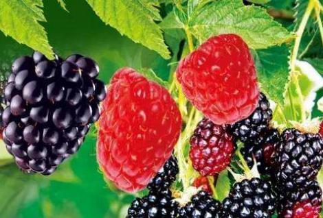 遵义最美乡村旅游图,遵义周边乡村旅游的地方