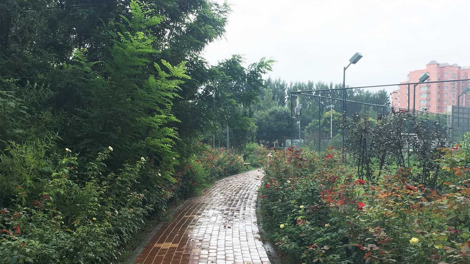 北京适合带孩子游玩的免费地方,北京周末带老人孩子去哪里玩