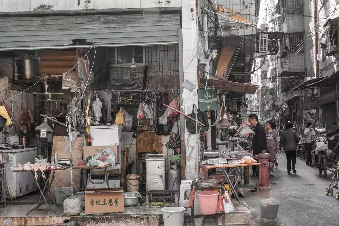 白石洲城中,白石洲的海边