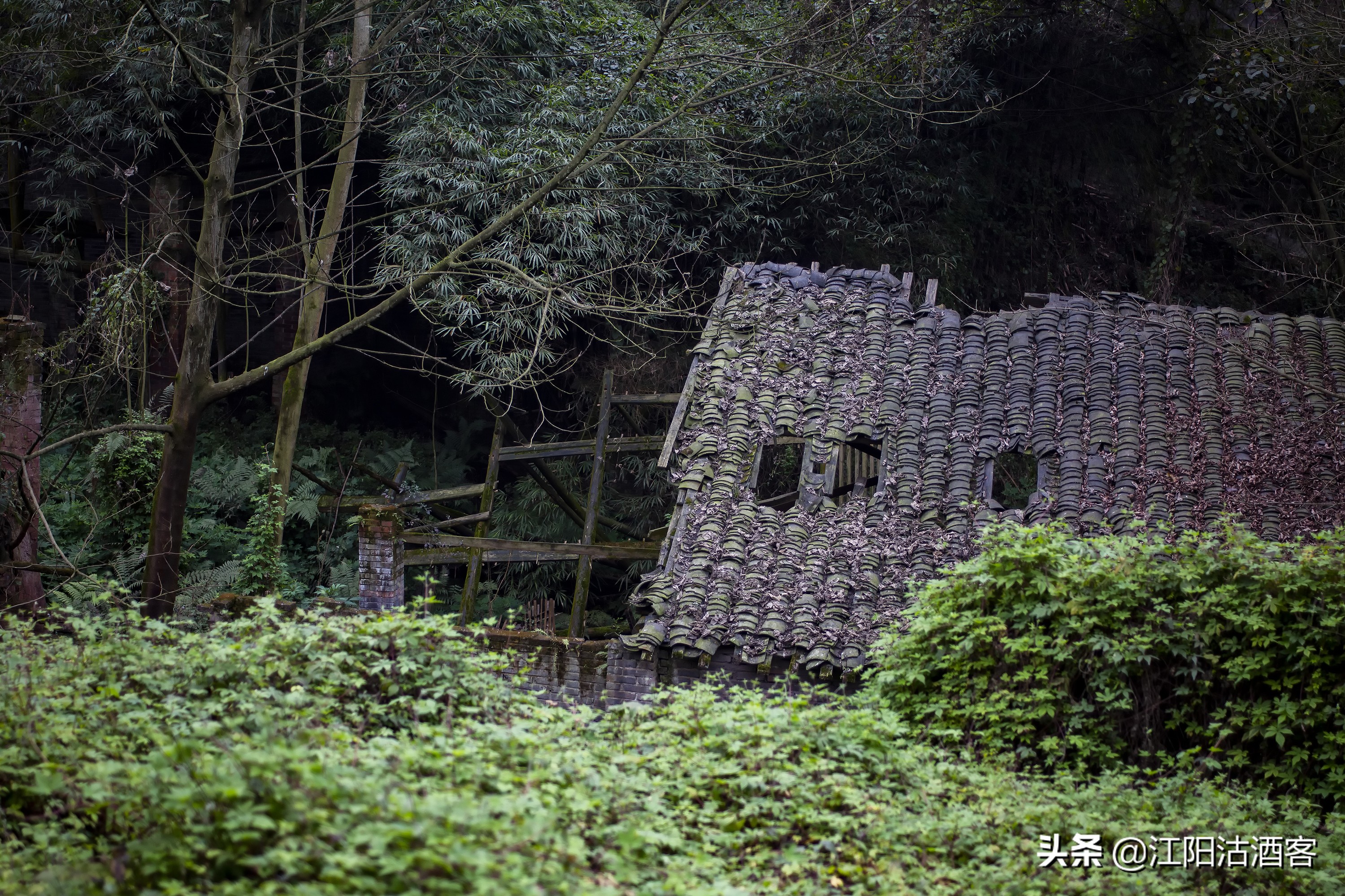 泸州沙湾，一条通往茶马古道的长江水上码头，如今落寞无人问