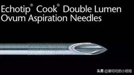 爽妹子的事情，谁之错？父母值得反思！