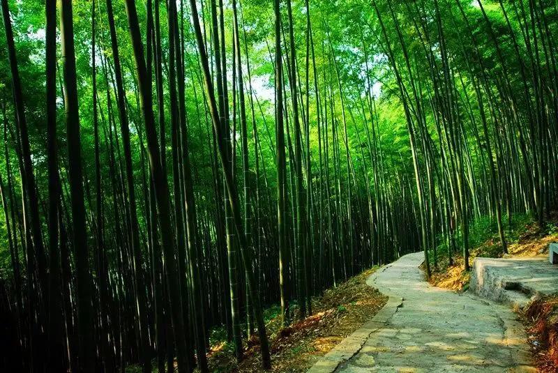 品牌情感营销牌如何打？达州市总工会的“温暖回家路”绝对温暖你