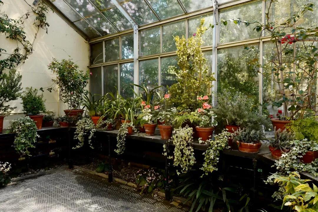 阳光房的植物推荐,北欧封闭阳台植物搭配