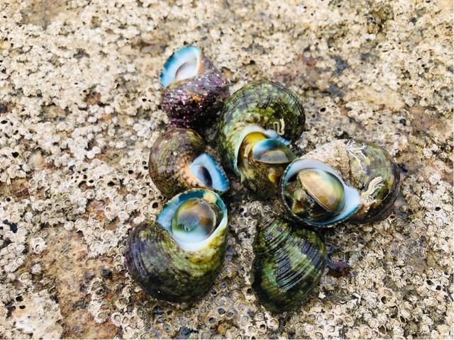 成都到涠洲岛旅游攻略自由行,成都去北海涠洲岛旅游攻略