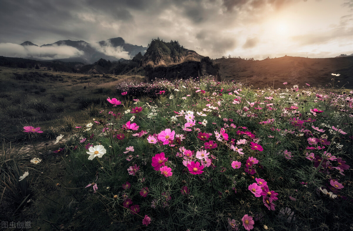 辟谷断食减肥法,断食辟谷28天