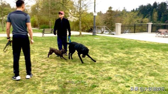 亚洲2021年男性颜值排行榜,亚洲各国男性颜值的排名