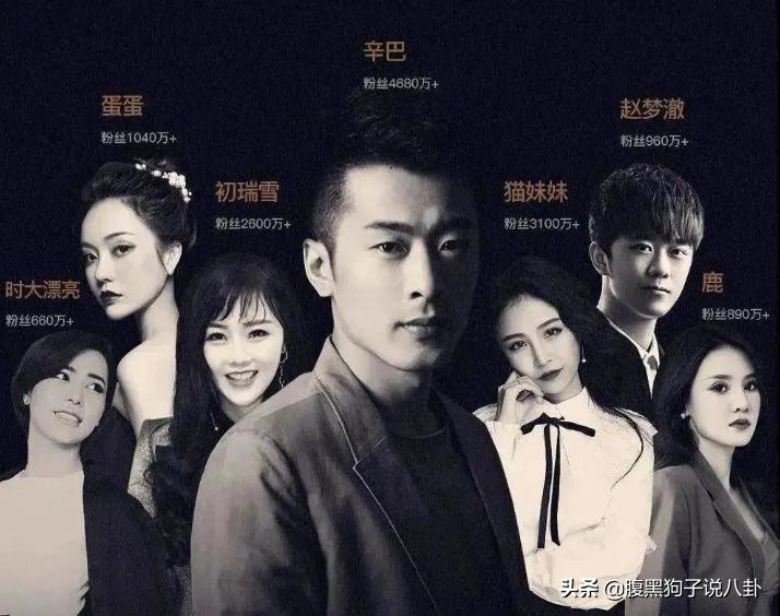 辛巴主播道歉信,主播辛巴现在怎么样了