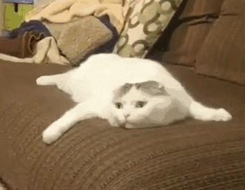 女朋友的胸，为什么忽大忽小？