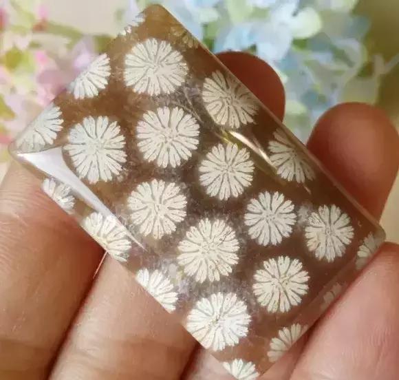 珊瑚玉怎么分辨品质好坏,珊瑚玉珠怎么辨真伪