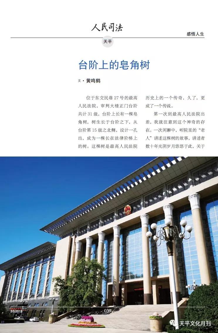 「书香佳韵」厦门市中级人民法院黄鸣鹤：台阶上的皂角树