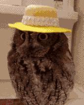 uv高倍防晒帽,可折叠遮阳帽uv防晒帽