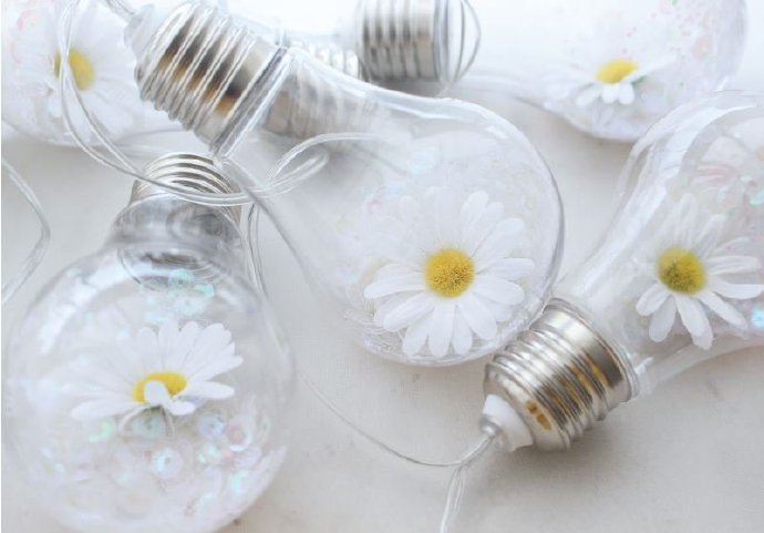 权志龙喜欢樱花和雏菊吗,权志龙最喜欢的所有东西