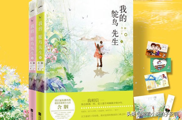 今日小说推荐|男女主是邻居：我隔着你的墙，撩动了你的心弦