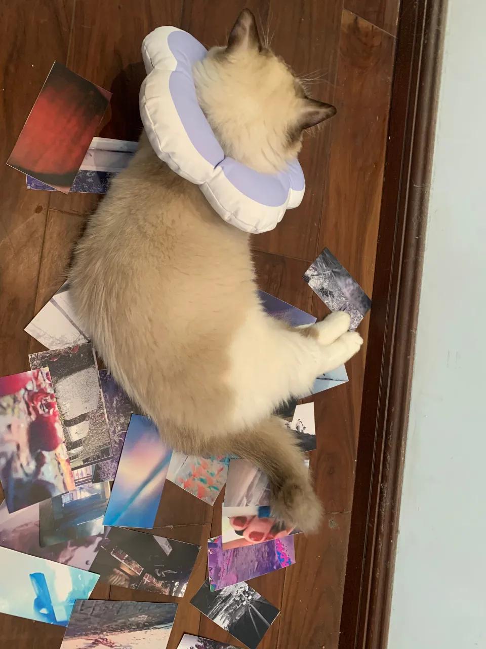 gap一年有什么打算,gap一年会怎么样