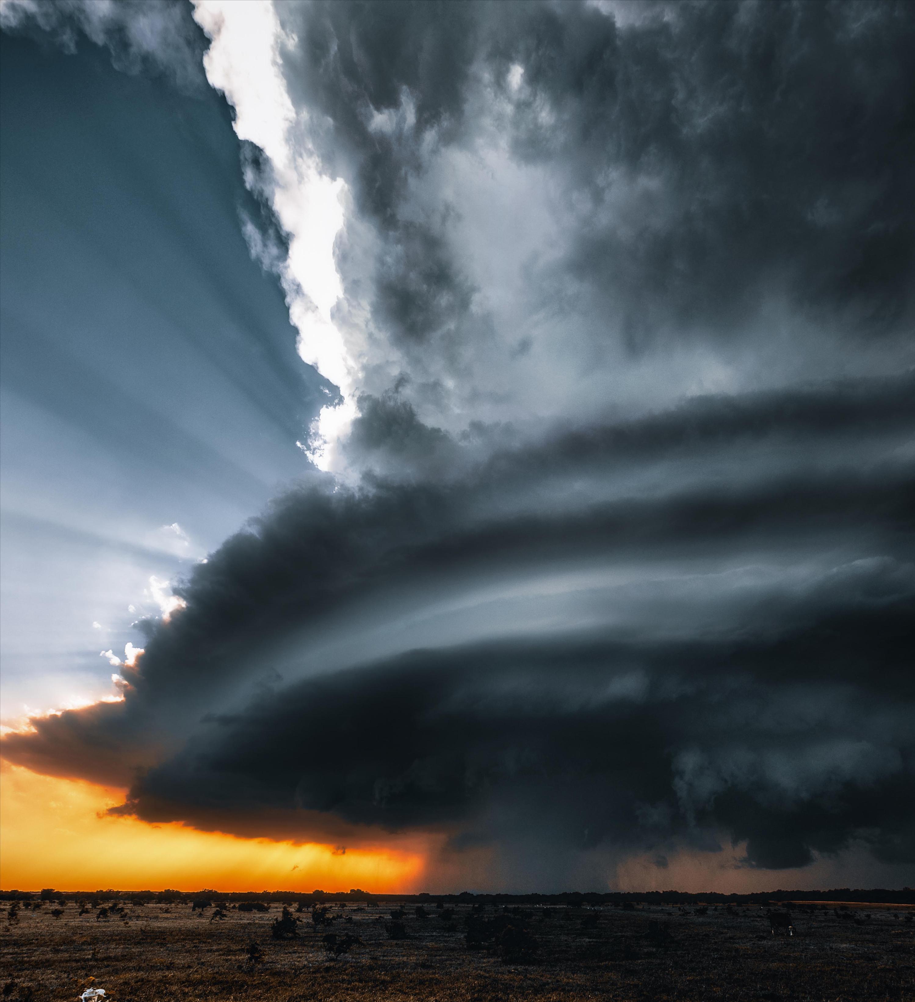 小学三年级和云有关的成语,背诵含有云的成语