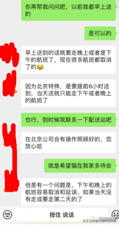 宠物托运全过程狗狗,宠物托运全过程国外