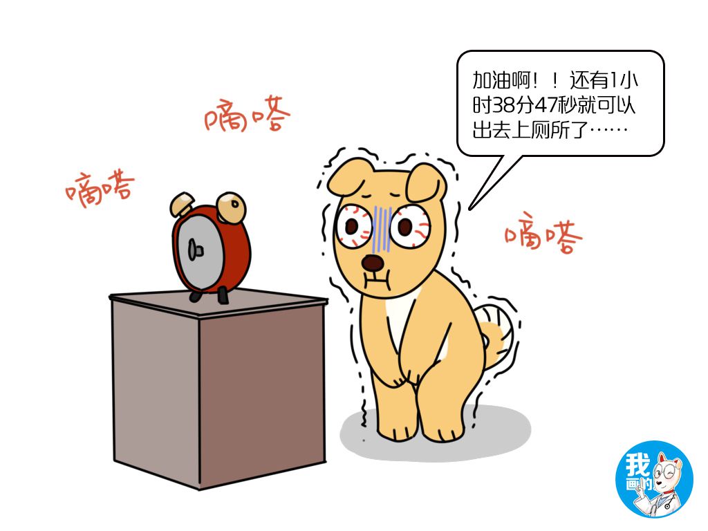 狗狗憋尿的危害,狗狗憋尿有什么表现