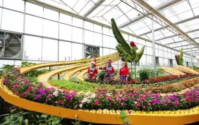 贺州新春节活动安排,贺州元宵节活动