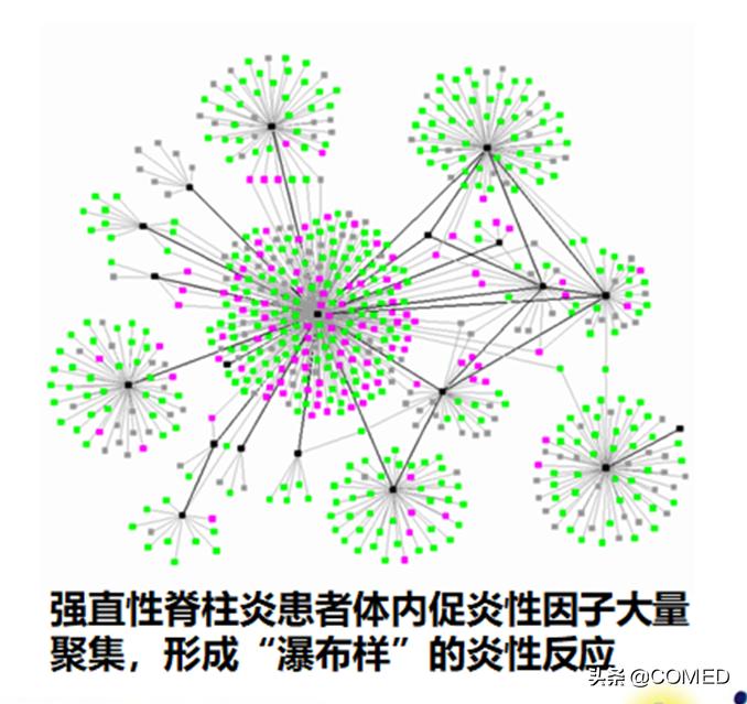 北京协和医院类风湿专家曾小峰,免疫科专家协和曾小峰