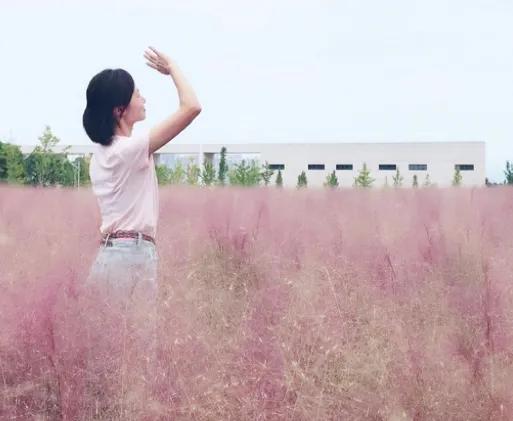 金的功用,金的功能主治