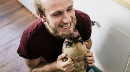 狗狗为什么爱舔人脖子,狗狗为什么爱舔你的手