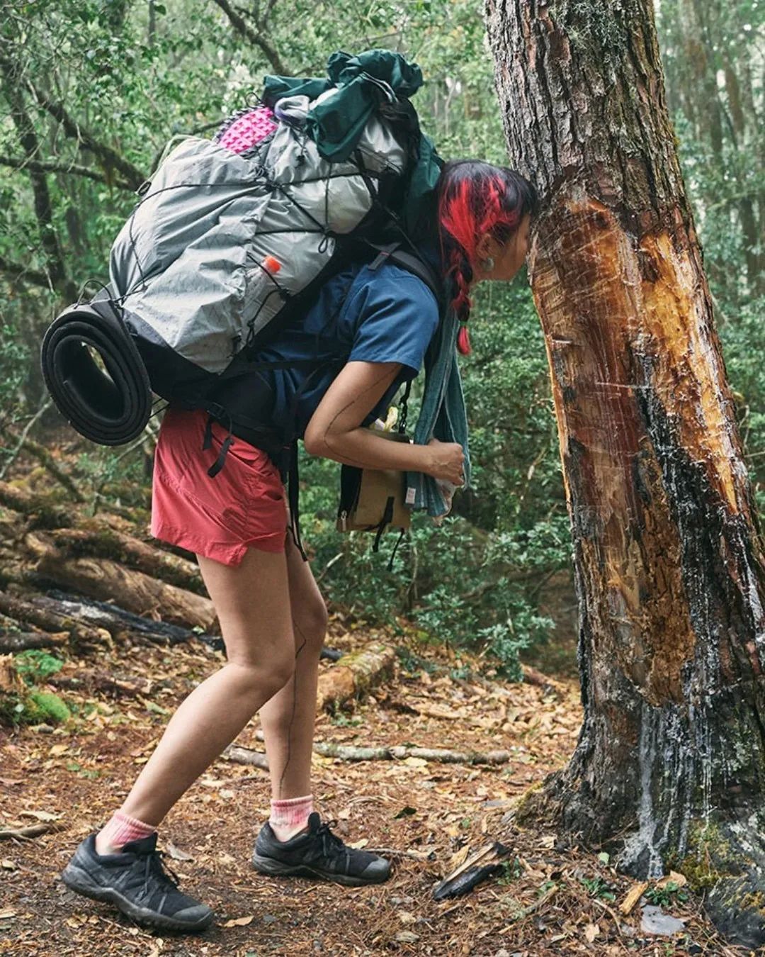 pick好物推荐,pick好物推荐学生党