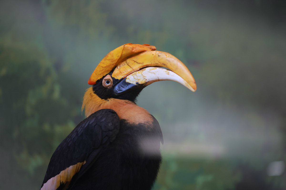 史上最轻便长焦利器佳能RF70-200mmF4L镜头评测