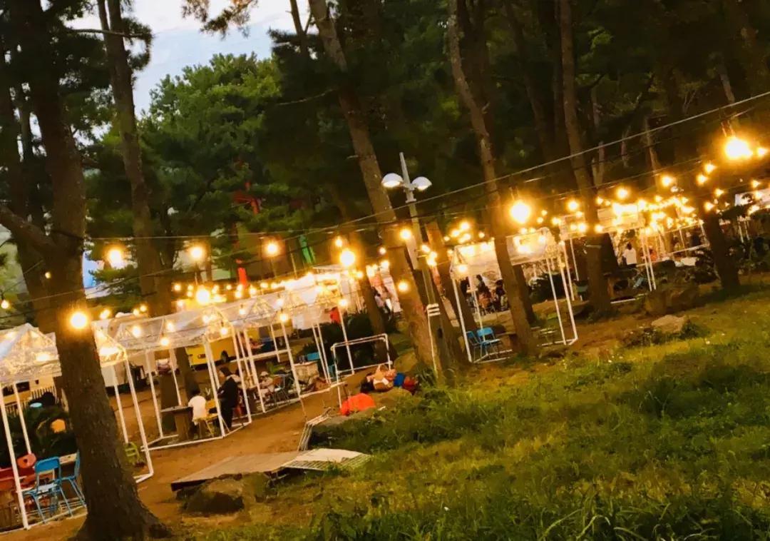 济州岛小清新旅游攻略,济州岛冬日街景